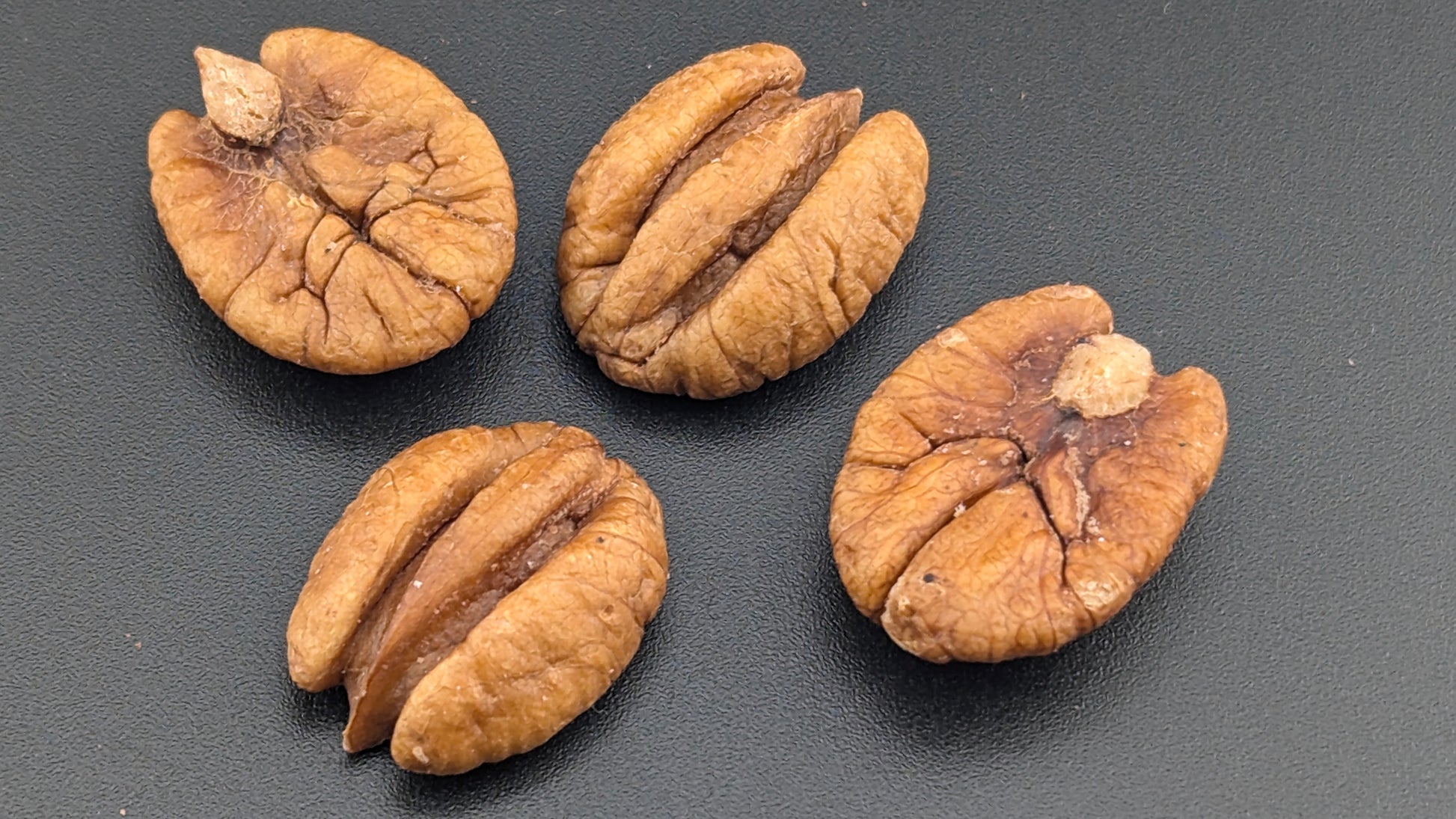 Four organic Infused Elliot Pecans sit on a dark surface, displaying their natural ridges and brown textures, with a light sea salt infusion that enhances their rich flavor.